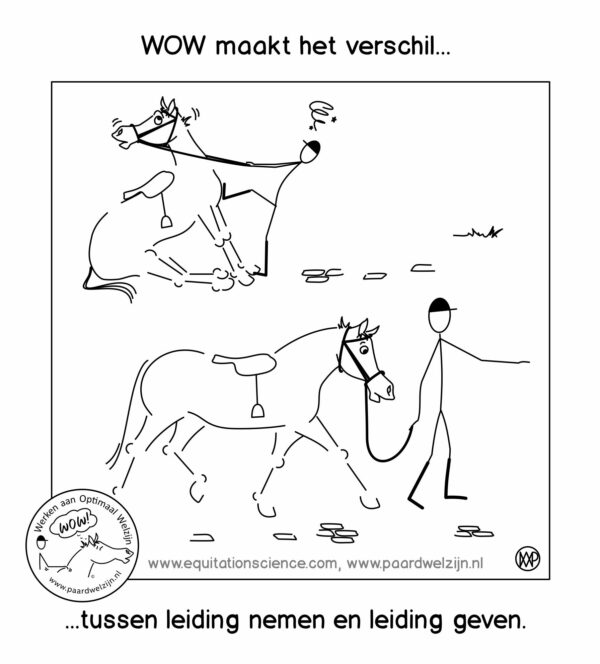 leiding geven nemen